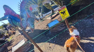 伊豆ぐらんぱる公園に投稿された画像（2024/12/22）