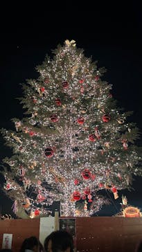 Christmas Market in 横浜赤レンガ倉庫 2025に投稿された画像（2024/12/22）
