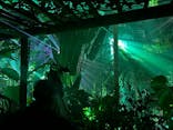 京都府立植物園　LIGHT CYCLES KYOTOに投稿された画像（2024/12/22）
