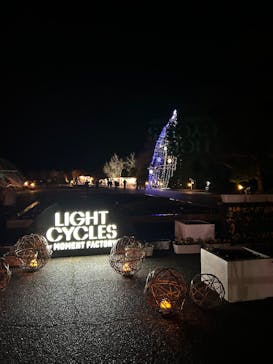 京都府立植物園　LIGHT CYCLES KYOTOに投稿された画像（2024/12/22）