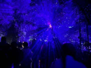 京都府立植物園　LIGHT CYCLES KYOTOに投稿された画像（2024/12/22）