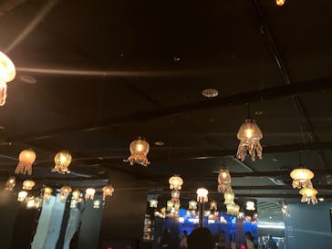 京都水族館に投稿された画像（2024/12/22）