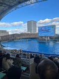 名古屋港水族館に投稿された画像（2024/12/22）