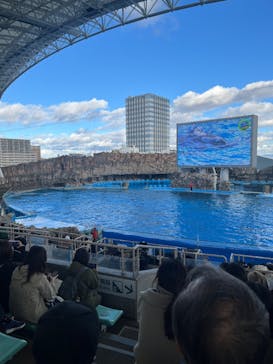 名古屋港水族館に投稿された画像（2024/12/22）