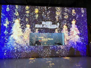 マクセル アクアパーク品川に投稿された画像（2024/12/22）