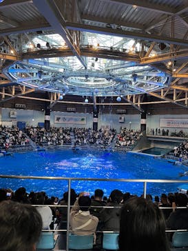 マクセル アクアパーク品川に投稿された画像（2024/12/22）