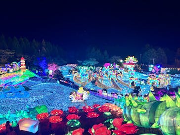 伊豆高原グランイルミに投稿された画像（2024/12/22）