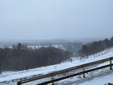 那須どうぶつ王国に投稿された画像（2024/12/22）