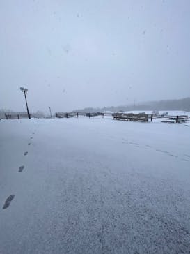 那須どうぶつ王国に投稿された画像（2024/12/22）