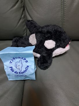 鴨川シーワールドに投稿された画像（2024/12/22）