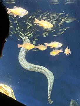 サンシャイン水族館に投稿された画像（2024/12/22）