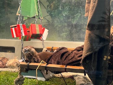 サンシャイン水族館に投稿された画像（2024/12/22）