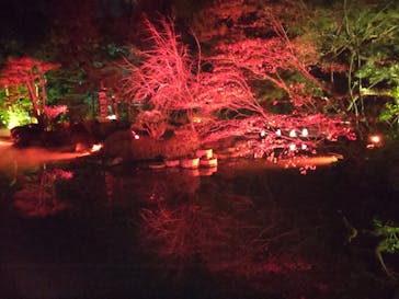 NAKEDヨルマイリ 2025-26 平安神宮に投稿された画像（2024/12/22）