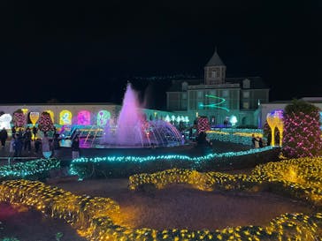 神戸イルミナージュに投稿された画像（2024/12/22）