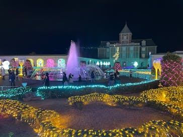 神戸イルミナージュに投稿された画像（2024/12/22）