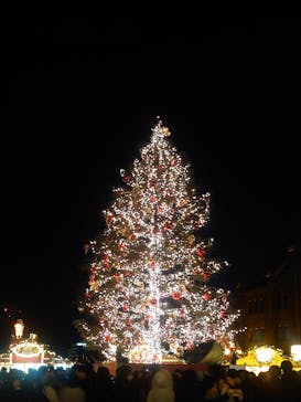 Christmas Market in 横浜赤レンガ倉庫 2025に投稿された画像（2024/12/22）