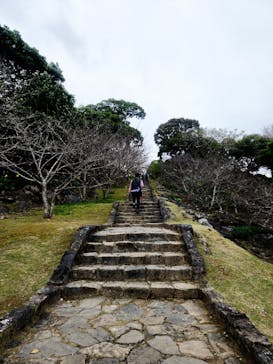 今帰仁城跡に投稿された画像（2024/12/22）