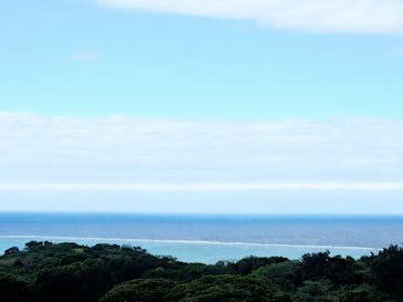 今帰仁城跡に投稿された画像（2024/12/22）