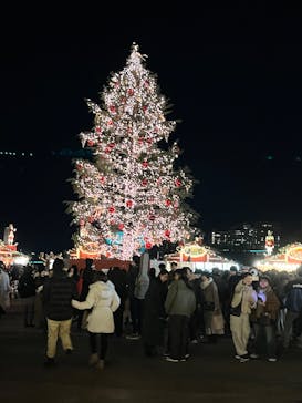 Christmas Market in 横浜赤レンガ倉庫 2025に投稿された画像（2024/12/22）