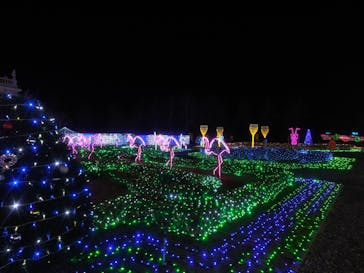 佐賀イルミナージュに投稿された画像（2024/12/22）