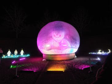 佐賀イルミナージュに投稿された画像（2024/12/22）