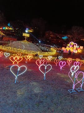 みろくの里に投稿された画像（2024/12/22）