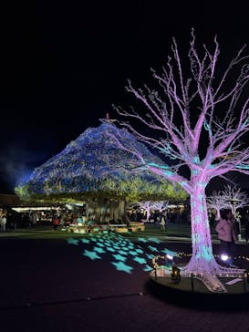 東京メガイルミに投稿された画像（2024/12/22）