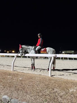 東京メガイルミに投稿された画像（2024/12/22）