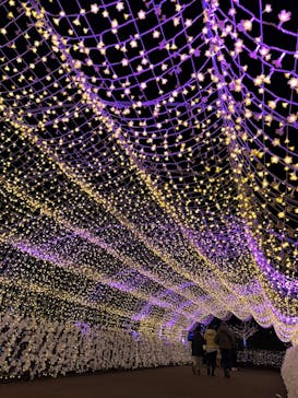 東京メガイルミに投稿された画像（2024/12/22）