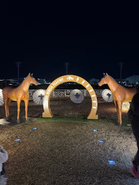 東京メガイルミに投稿された画像（2024/12/22）