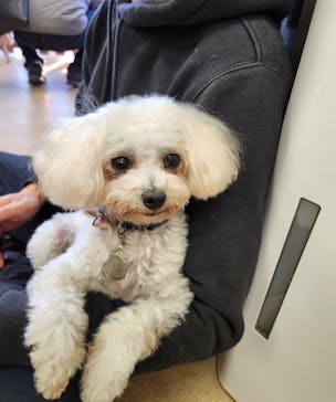 東武動物公園に投稿された画像（2024/12/22）