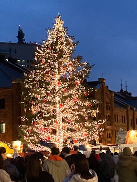 Christmas Market in 横浜赤レンガ倉庫 2025に投稿された画像（2024/12/22）