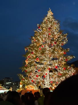 Christmas Market in 横浜赤レンガ倉庫 2025に投稿された画像（2024/12/22）