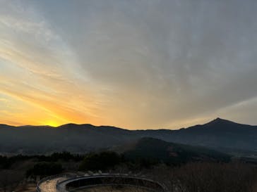 いばらきフラワーパークに投稿された画像（2024/12/22）