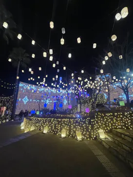 ひらかたパークに投稿された画像（2024/12/22）