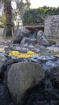 伊豆シャボテン動物公園に投稿された画像（2024/12/22）