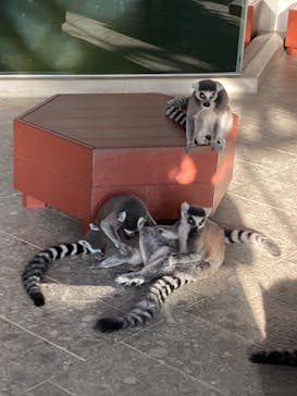 NIFREL（ニフレル）に投稿された画像（2024/12/18）