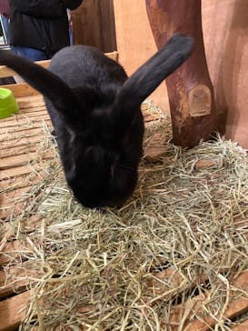 伊豆シャボテン動物公園に投稿された画像（2024/12/22）