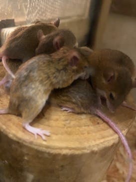 伊豆シャボテン動物公園に投稿された画像（2024/12/22）