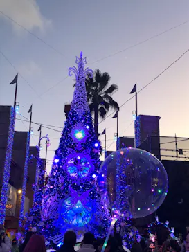 ひらかたパークに投稿された画像（2024/12/22）