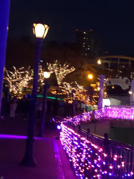 ひらかたパークに投稿された画像（2024/12/22）