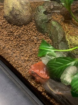 サンシャイン水族館に投稿された画像（2024/12/22）