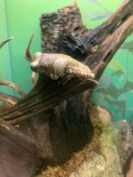 サンシャイン水族館に投稿された画像（2024/12/22）