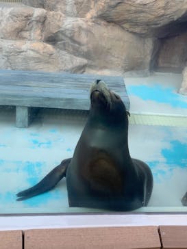 サンシャイン水族館に投稿された画像（2024/12/22）