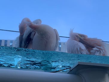 サンシャイン水族館に投稿された画像（2024/12/22）