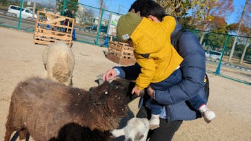 霞ケ浦 どうぶつとみんなのいえに投稿された画像（2024/12/23）