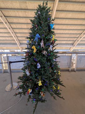 霞ケ浦 どうぶつとみんなのいえに投稿された画像（2024/12/23）