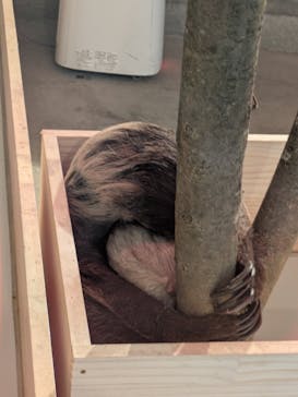 霞ケ浦 どうぶつとみんなのいえに投稿された画像（2024/12/23）