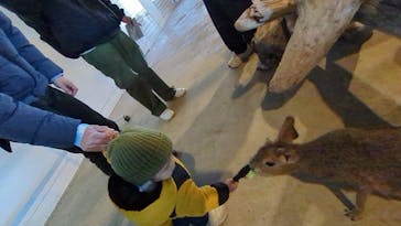 霞ケ浦 どうぶつとみんなのいえに投稿された画像（2024/12/23）