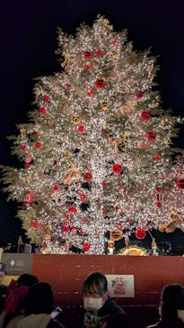 Christmas Market in 横浜赤レンガ倉庫 2025に投稿された画像（2024/12/23）